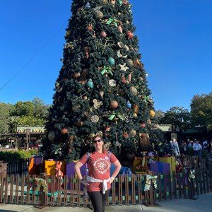 Meet your Posher, Ellen